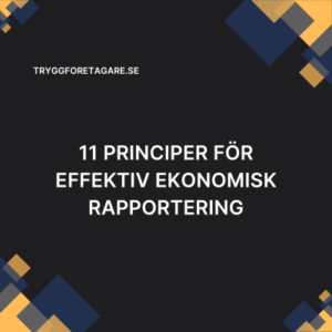 11 principer för effektiv ekonomisk rapportering