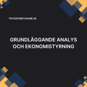 Grundläggande analys och ekonomistyrning